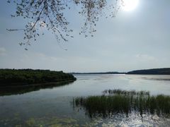 -丁香湖公园