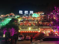 -枇杷园食为鲜火锅(南山店)