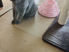 -Me Coffee下午茶艺术空间