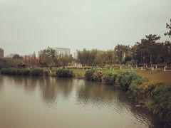 -眉山湿地公园(东坡区)