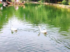-蝴蝶泉公园