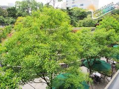 -上海瑞金洲际酒店