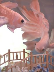 -无锡君来洲际酒店·宴会厅