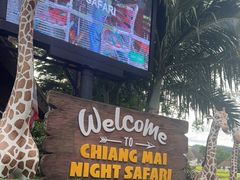 -清迈夜间动物园