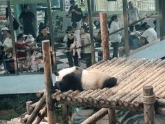 -大连森林动物园