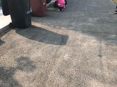 -菊园百果园