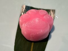 -老板恋上鱼(印象城店)