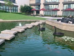 -行者书屋大堂吧 ·下午茶(南京圣和府邸酒店)