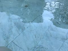 -徂徕山森林康养度假谷温泉