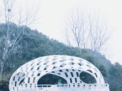 -同里国家湿地公园