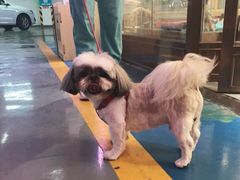 -FAELING PETS美天灵宠物(富力广场店)