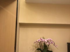 -五观堂素食(新华路店)