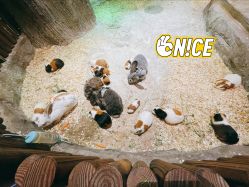 -宝燕乐园(闵行旗舰店)