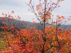 -香山公园