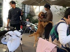 -一尺花园(安和花园店)