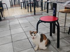 -重庆特色冷锅鱼(武大店)