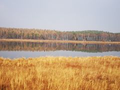 -塞罕坝国家级自然保护区