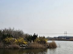 -大港湿地公园