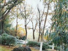 -菊花台公园