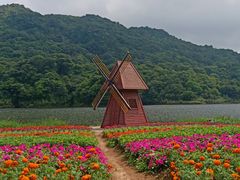 -广州市石门国家森林公园