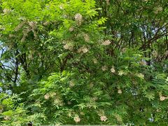 -北京石刻艺术博物馆(五塔寺)