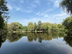 -石家庄市植物园