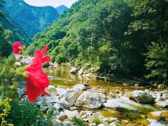 -秦岭风景区
