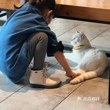 带孩子探店喵屋咖啡☕️