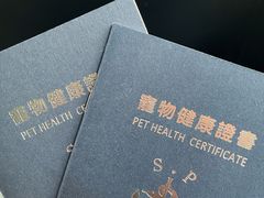 -申普宠物医院·心脏介入·心血管微创(总院)