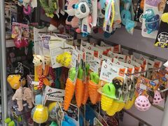 -北京观赏动物医院·24小时大型综合·猫专科·异宠专科