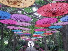 -广西壮族自治区药用植物园