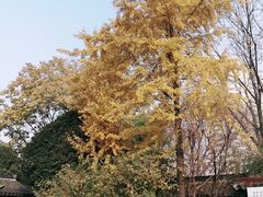 -南京市民俗博物馆(甘熙故居)