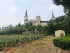 -北京张裕爱斐堡酒庄