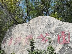 -西青郊野公园