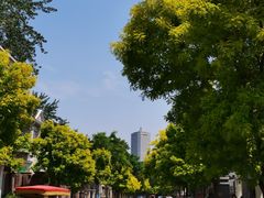 -天津五大道文化旅游区