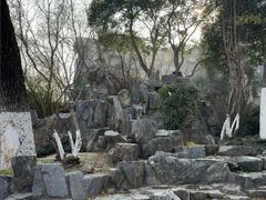 -莲湖公园