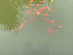 -中国翰园碑林