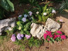 -深圳国际园林花卉博览园