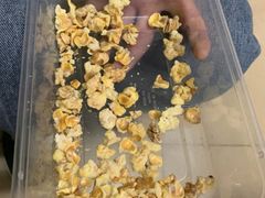 爆米花-海底捞火锅(泉城路店)