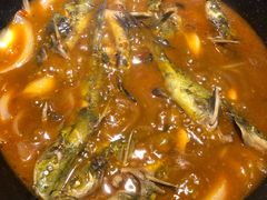 黄辣丁鲜鱼锅-小小河边鱼(天润城店)