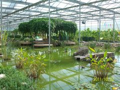 北京观光南瓜园&nbsp;(49)-观光南瓜园