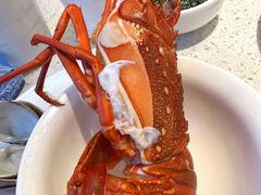 -青蓬海上捞蒸品海鲜城(海岸城店)
