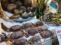 -亚马逊蒸汽活海鲜自助(LCM置汇旭辉广场店)