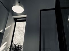 -猫里有甜