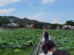 -红山村