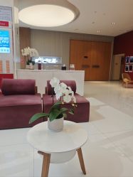 -Yestar艺星医疗美容医院