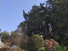 -乌山风景区