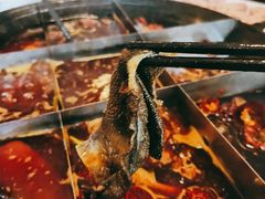 毛肚-仁虎老火锅(黄泥磅店)