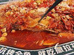 -撒拉花儿·新疆菜·清真(太阳宫店)