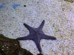 -多彩贵州城极地海洋世界